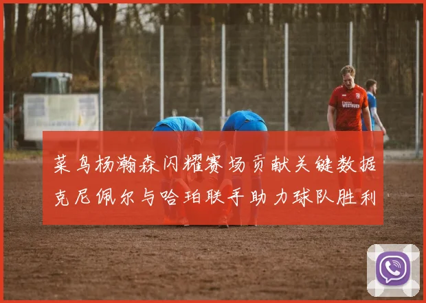 菜鸟杨瀚森闪耀赛场贡献关键数据克尼佩尔与哈珀联手助力球队胜利