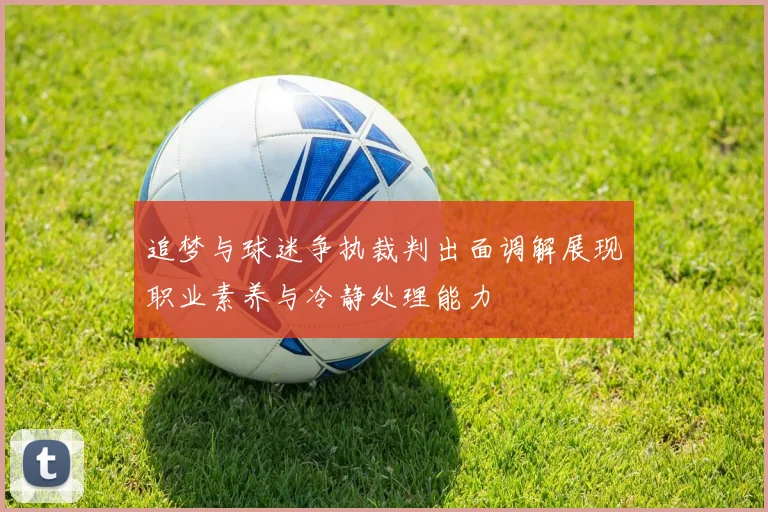 追梦与球迷争执裁判出面调解展现职业素养与冷静处理能力